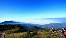 image-41